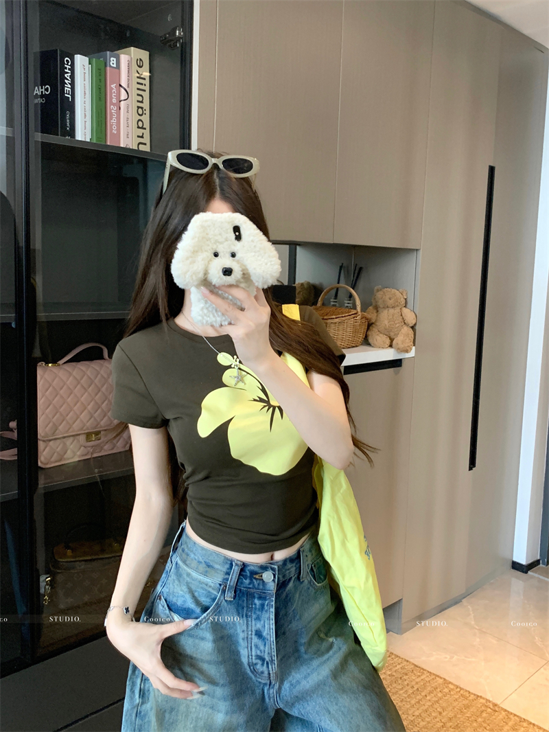 Women's Summer Printed Short Sleeve Color Block Slim Cropped T-Shirt - Image 4